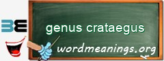 WordMeaning blackboard for genus crataegus